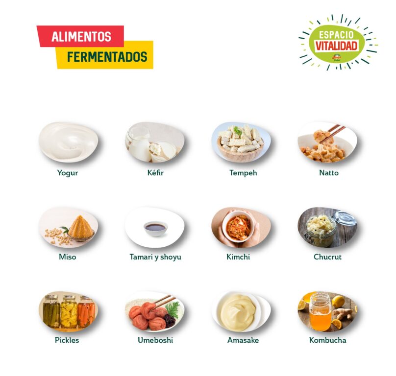 Tipos de alimentos fermentados